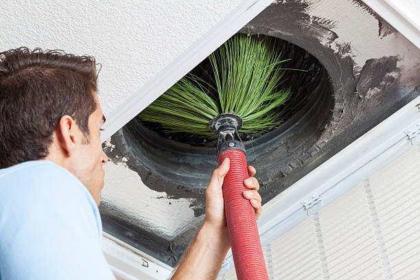 Best Air Duct Sanitization & Disinfection in Mount Shasta, CA